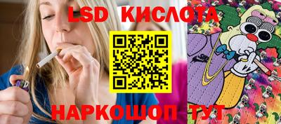 гидропоника Берёзовский