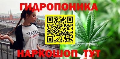 гидропоника Берёзовский